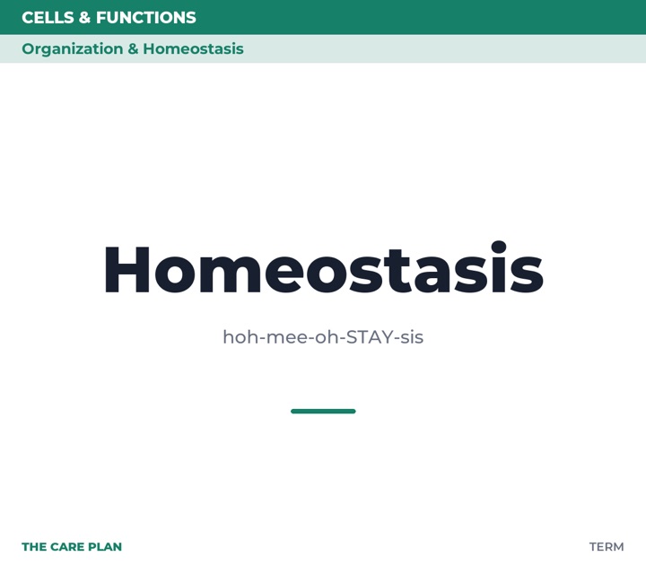 Front of the Homeostasis card