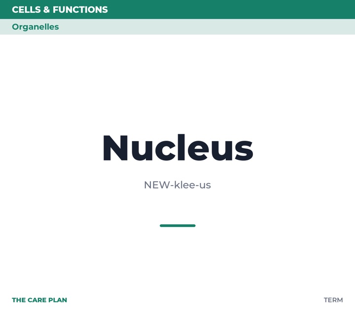 Front of the Nucleus card