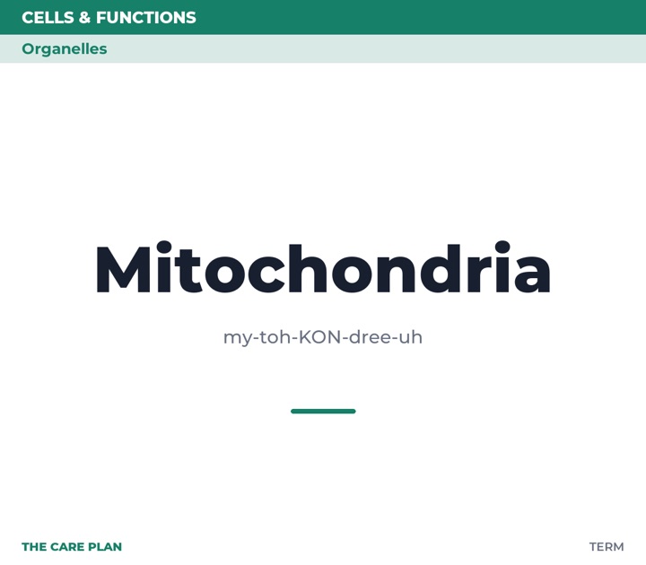 Front of the Mitochondria card