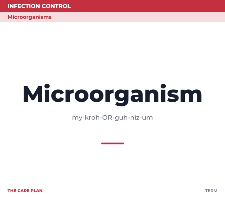 Front of the Microorganism card